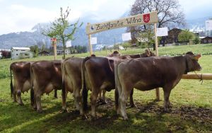 Wilna Imfeld Werner Giswil